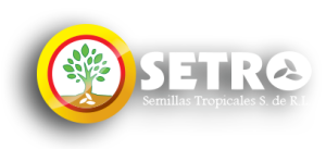SEMILLAS TROPICALES S.A - TREE SEEDS FOR SALE